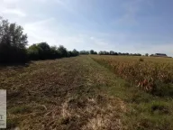 Prodaja, plac, 54m², Stubline, Obrenovac - image 1