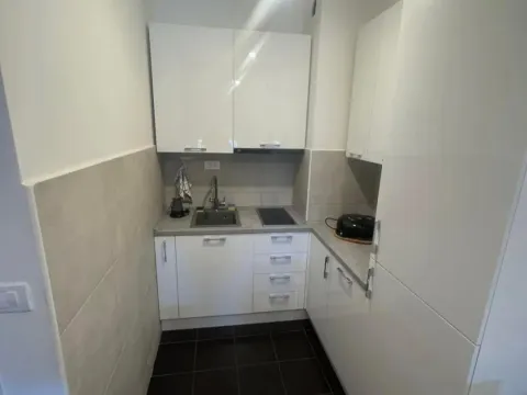 Rent, one bedroom apartment, 38m², Ljubović, Podgorica - image 2