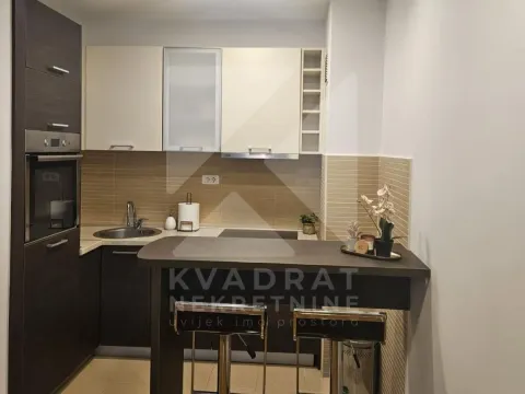 Rent, one bedroom apartment, 43m², Tološka šuma, Podgorica - image 3