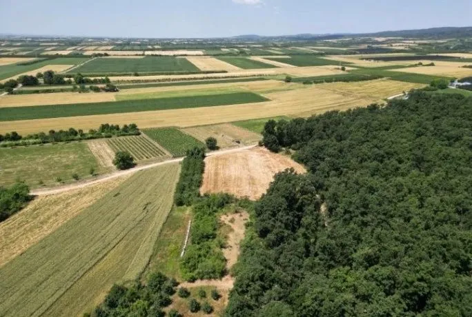 Prodaja, plac, 1576m², Irig, Srbija