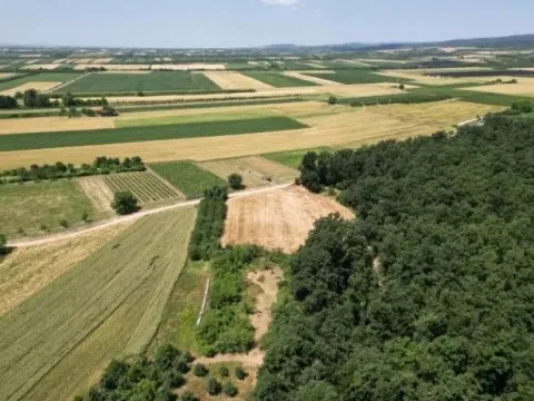 Sale, land lot, 1576m², Irig, Srbija - image 10