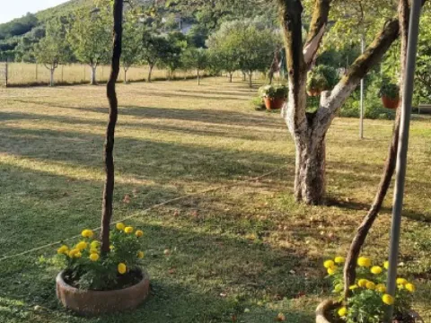 Sale, house, 120m², Danilovgrad, Crna Gora - image 10