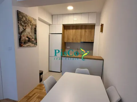 Izdavanje, jednosoban stan, 42m², Pobrežje, Podgorica - image 10