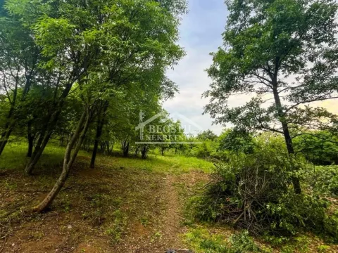 Sale, land lot, 2400m², Grocka, Beograd - image 4