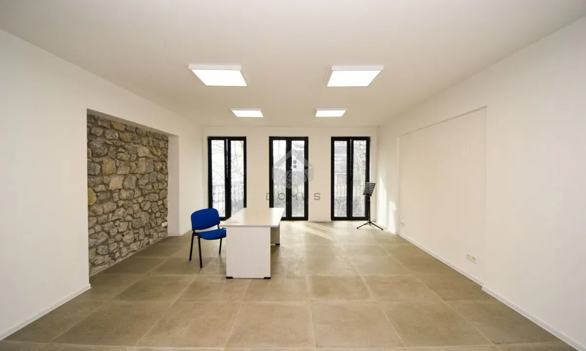 Izdavanje, poslovni prostor, 120m², Centar, Podgorica