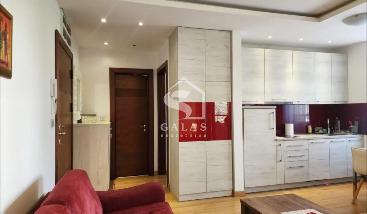 Izdavanje, dvosoban stan, 43m², Vračar Sve Podlokacije, Beograd