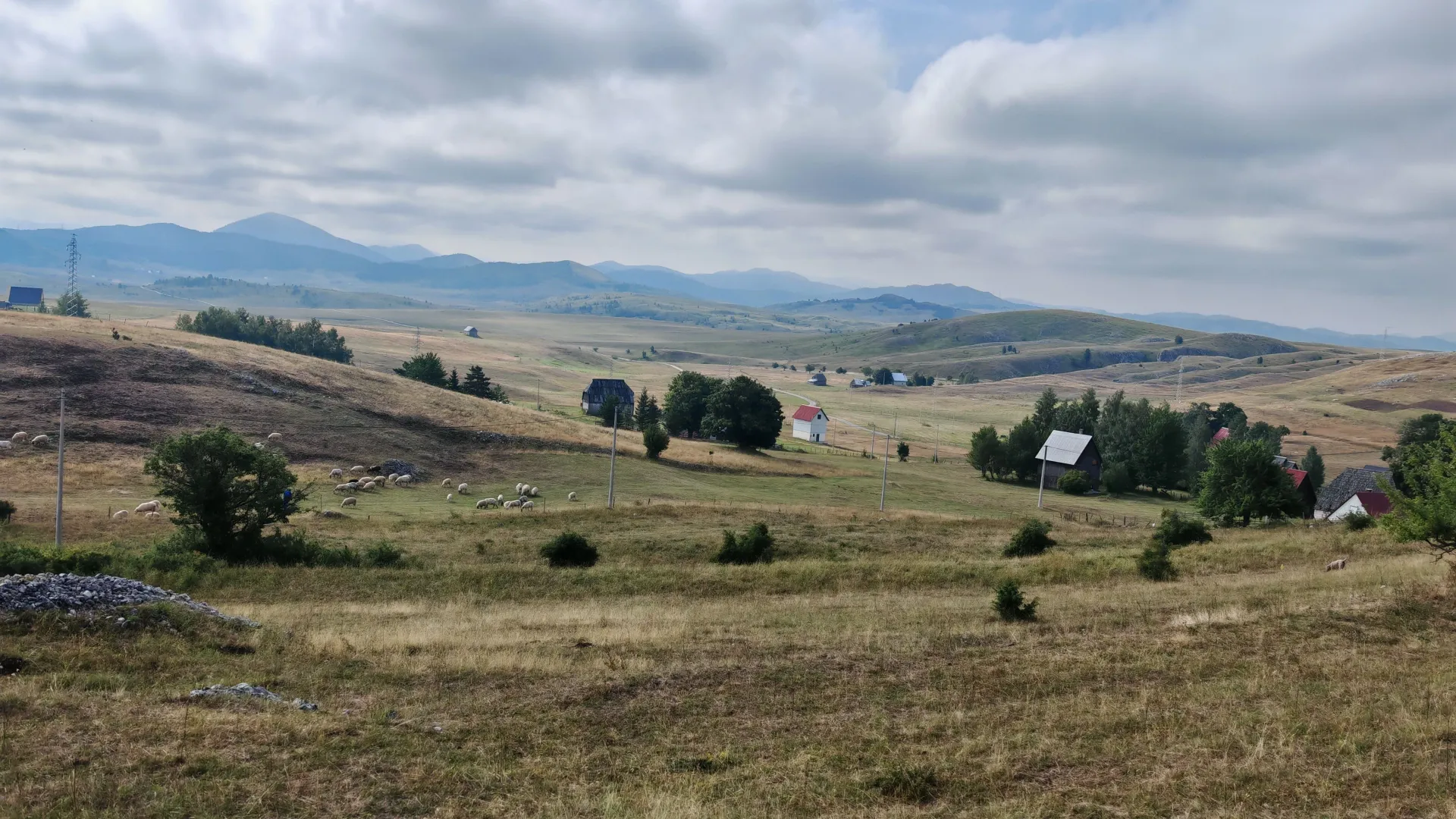 Prodaja, plac, 1000m², Motički gaj, Žabljak