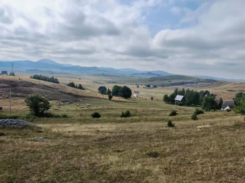 Prodaja, plac, 1000m², Motički gaj, Žabljak - image 2