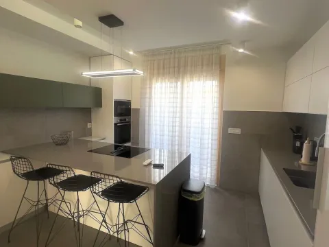 Izdavanje, četvorosoban stan, 237m², Vračar Hram, Vračar Sve Podlokacije - image 2