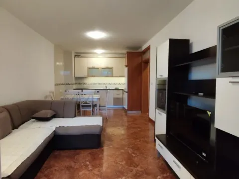 Izdavanje, jednosoban stan, 54m², Topolica, Bar - image 1