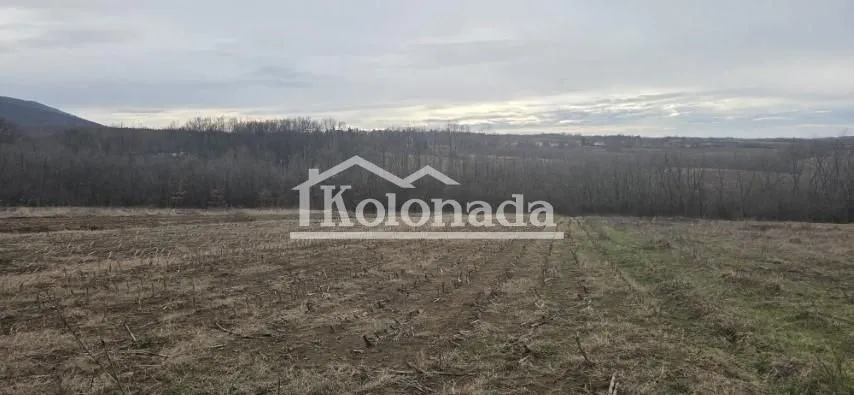 Prodaja, plac, 4000m², Nemenikuće, Sopot