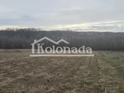 Prodaja, plac, 4000m², Nemenikuće, Sopot - image 2