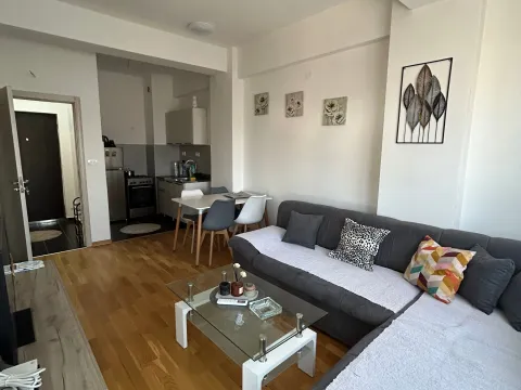 Rent, one bedroom apartment, 40m², Ljubović, Podgorica - image 4