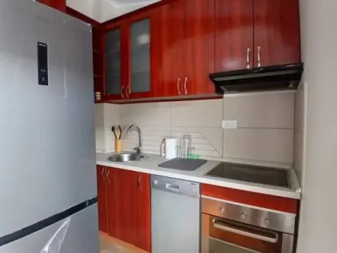 Rent, two bedroom apartment, 42m², Vukov Spomenik, Zvezdara Sve Podlokacije - image 6
