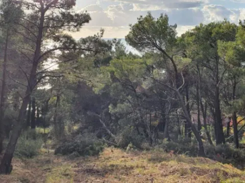 Prodaja, plac, 1028m², Zeleni Pojas, Bar - image 4