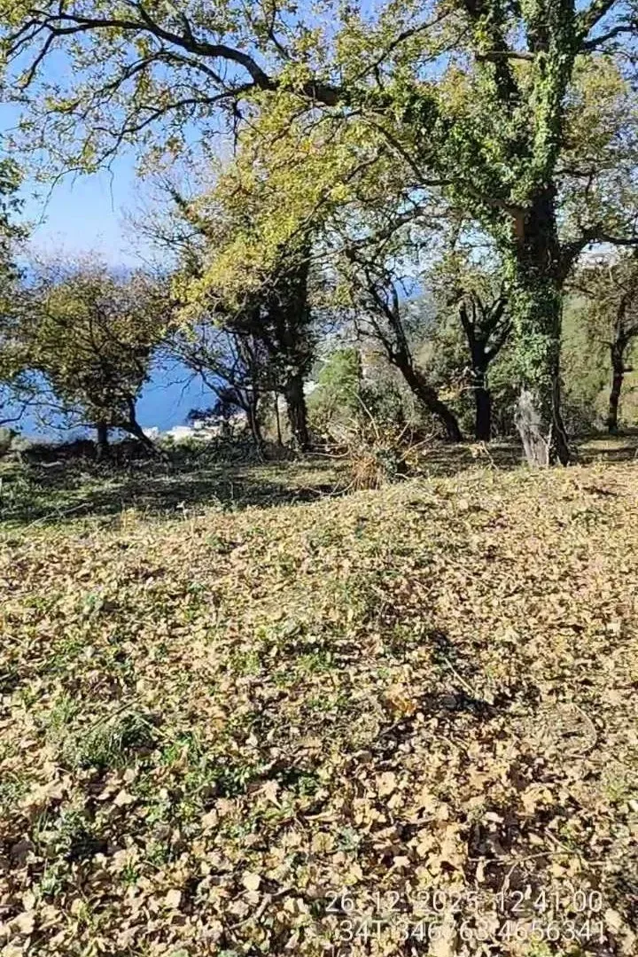 Prodaja, plac, 1227m², Dobre Vode, Bar