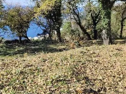 Prodaja, plac, 1227m², Dobre Vode, Bar - image 10