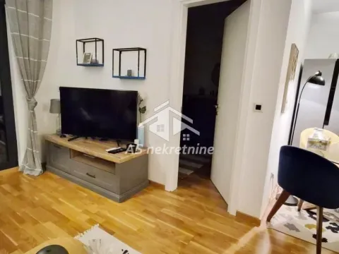 Rent, two bedroom apartment, 48m², Južni Bulevar, Vračar Sve Podlokacije - image 4