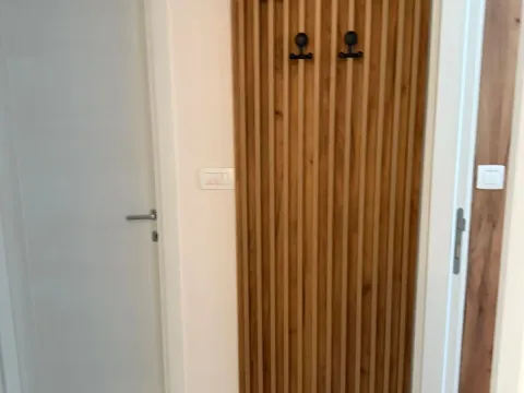 Izdavanje, jednosoban stan, 40m², Tuški Put, Podgorica - image 17