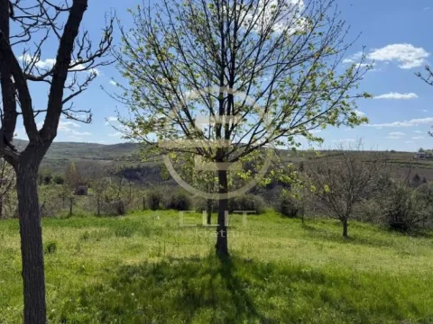 Prodaja, plac, 2106m², Banoštor, Beočin - image 9