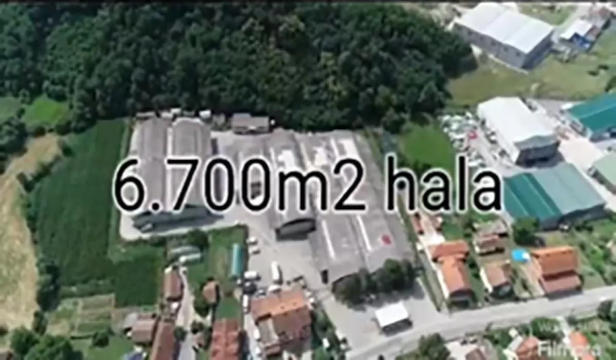 Izdavanje, poslovni prostor, 3000m², Vrčin, Grocka