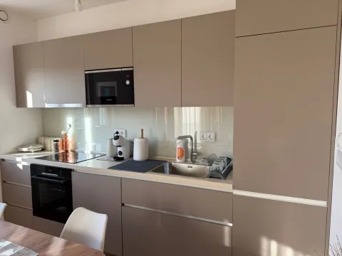 Izdavanje, jednosoban stan, 42m², Tološka šuma, Podgorica - image 4