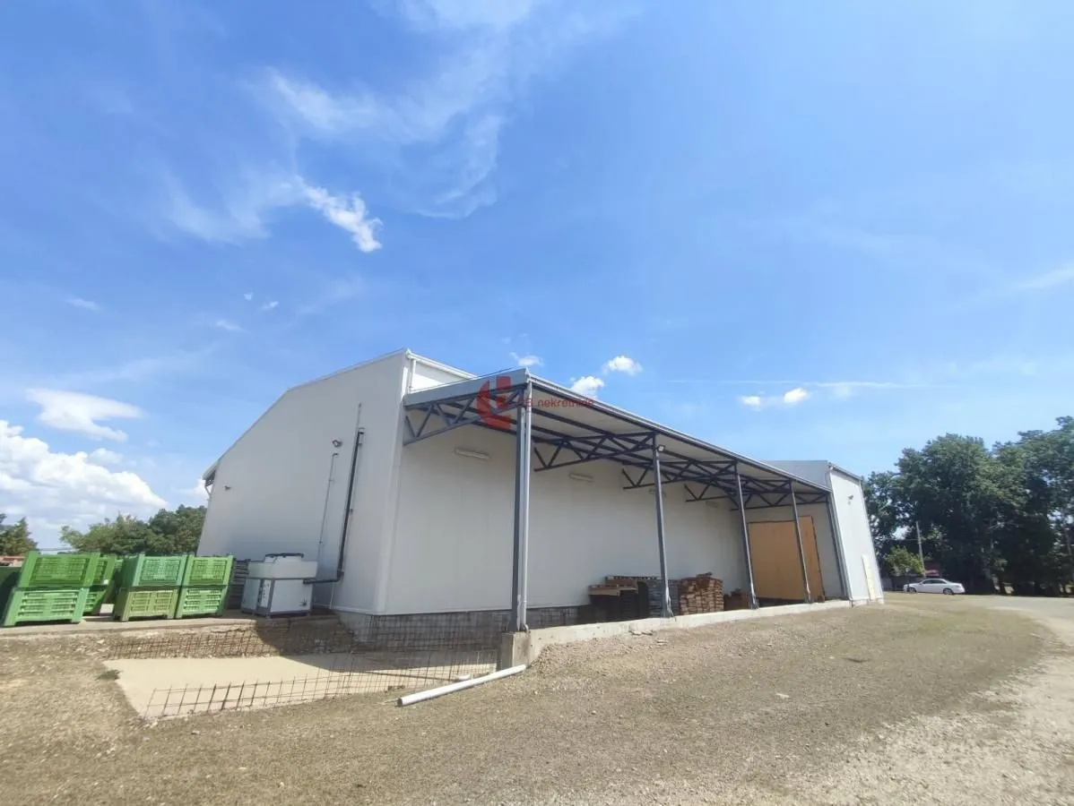 Izdavanje, poslovni prostor, 665m², Bački Vinogradi, Subotica