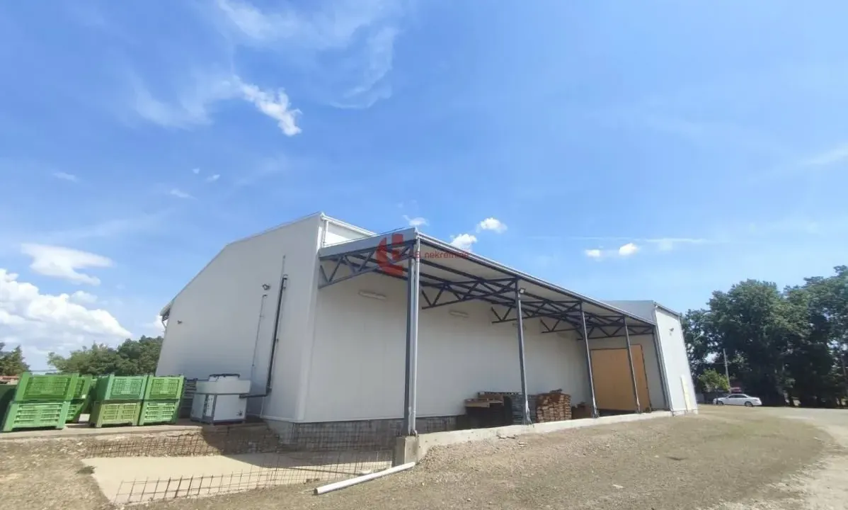 Izdavanje, poslovni prostor, 665m², Bački Vinogradi, Subotica