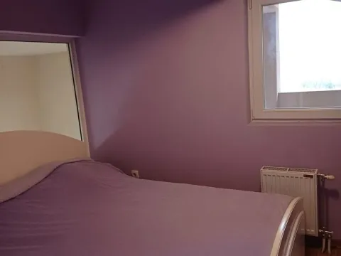 Sale, three bedroom apartment, 84m², Zemun Gornji Grad, Zemun Sve Podlokacije - image 11