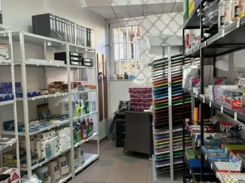 Prodaja, poslovni prostor, 127m², Botanička Bašta, Palilula Sve Podlokacije - image 8