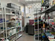 Prodaja, poslovni prostor, 127m², Botanička Bašta, Palilula Sve Podlokacije - image 8