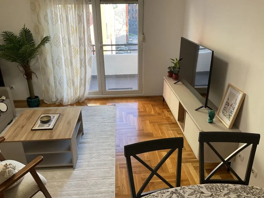 Rent, one bedroom apartment, 54m², Vezirov Most, Podgorica