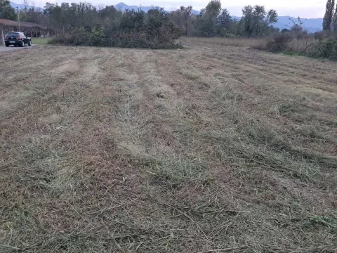 Prodaja, plac, 3000m², Podgorica, Crna Gora - image 4