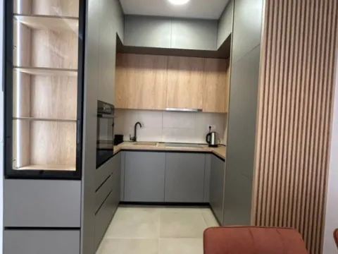 Izdavanje, jednosoban stan, 47m², Zabjelo, Podgorica - image 2