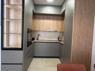 Izdavanje, jednosoban stan, 47m², Zabjelo, Podgorica - image 2