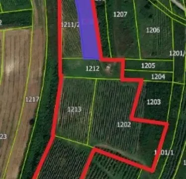 Prodaja, plac, 300m², Beočin, Srbija - image 19