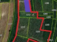 Prodaja, plac, 300m², Beočin, Srbija - image 19