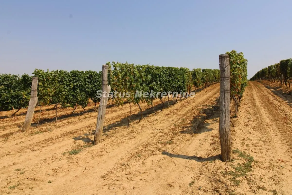 Prodaja, plac, 4502m², Beočin, Srbija