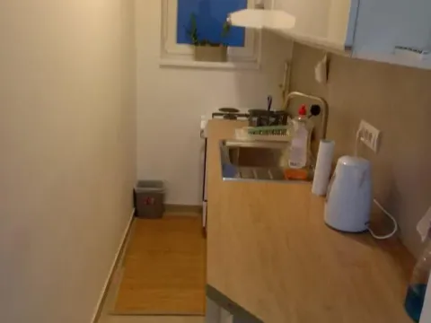 Izdavanje, jednosoban stan, 45m², Veternik, Novi Sad Sve Podlokacije - image 3