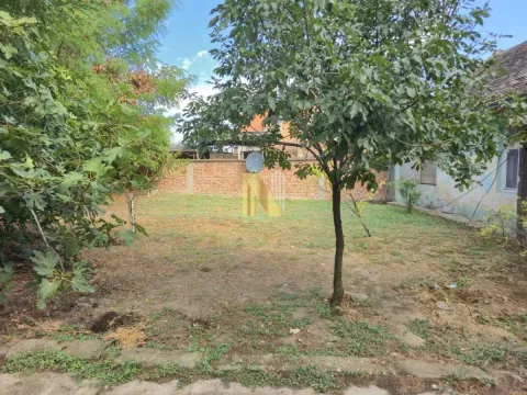 Zeleno dvorište sa drvećem i ogradom oko kuće. - image 3