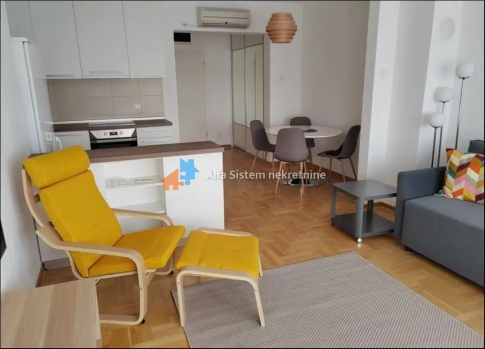 Izdavanje, dvosoban stan, 44m², Vračar Sve Podlokacije, Beograd