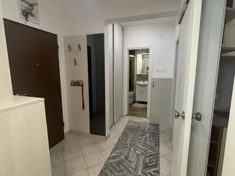 Izdavanje, stan, 46m², Stari Aerodrom, Podgorica - image 8