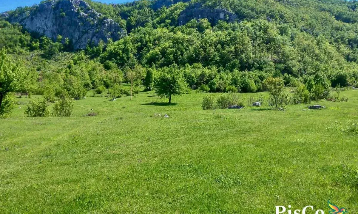 Sale, land lot, Nikšić, Crna Gora