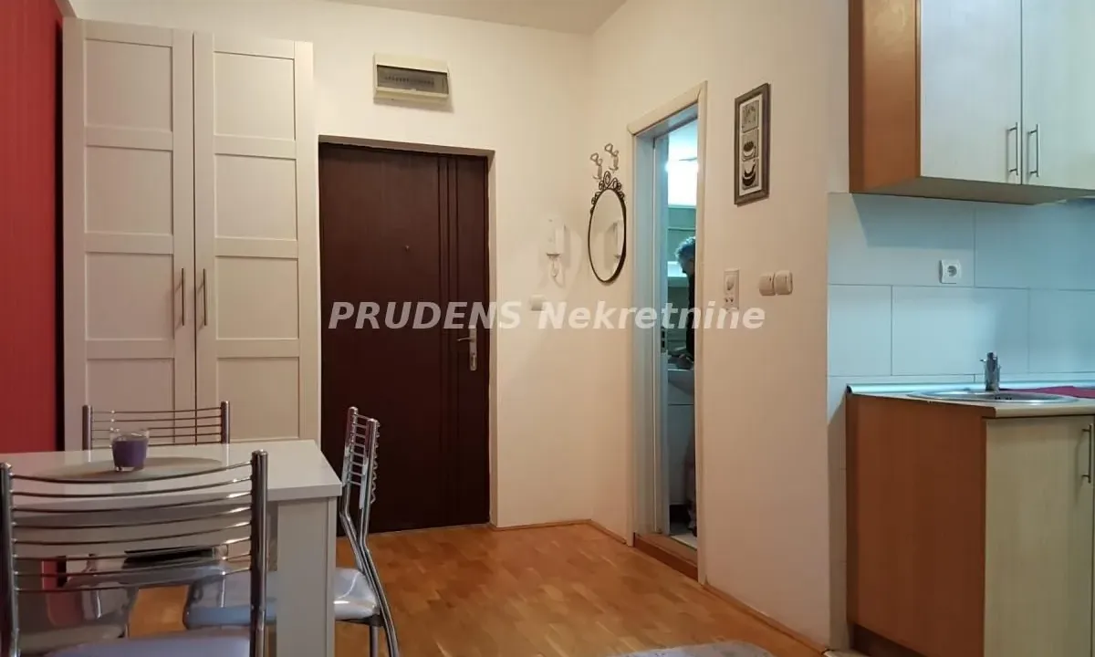 Izdavanje, jednosoban stan, 36m², Južni Bulevar, Vračar Sve Podlokacije