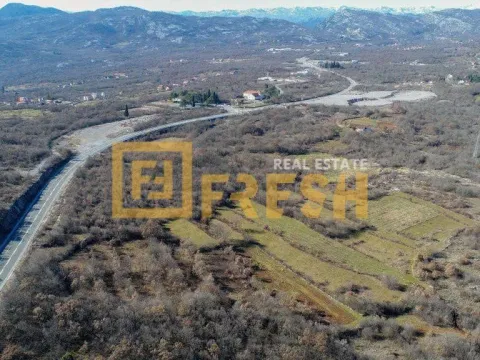 Sale, land lot, 10200m², Farmaci, Podgorica - image 3