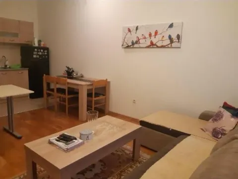 Prodaja, jednosoban stan, 46m², Zabjelo, Podgorica - image 7