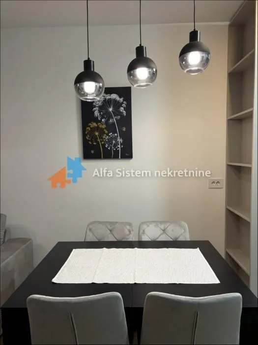Izdavanje, dvosoban stan, 48m², Novi Beograd Sve Podlokacije, Beograd
