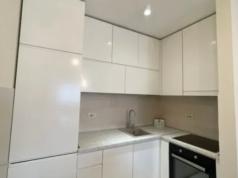 Rent, one bedroom apartment, 43m², Zagorič, Podgorica - image 17