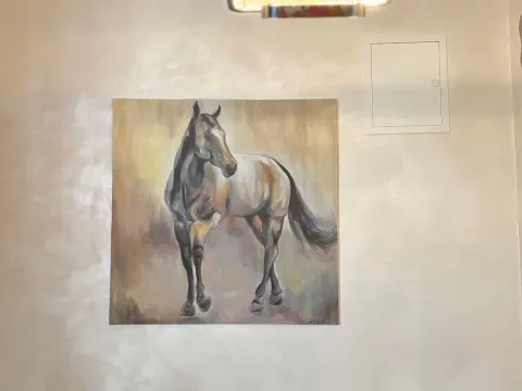 Prodaja, jednosoban stan, 49m², Budva, Crna Gora - image 9