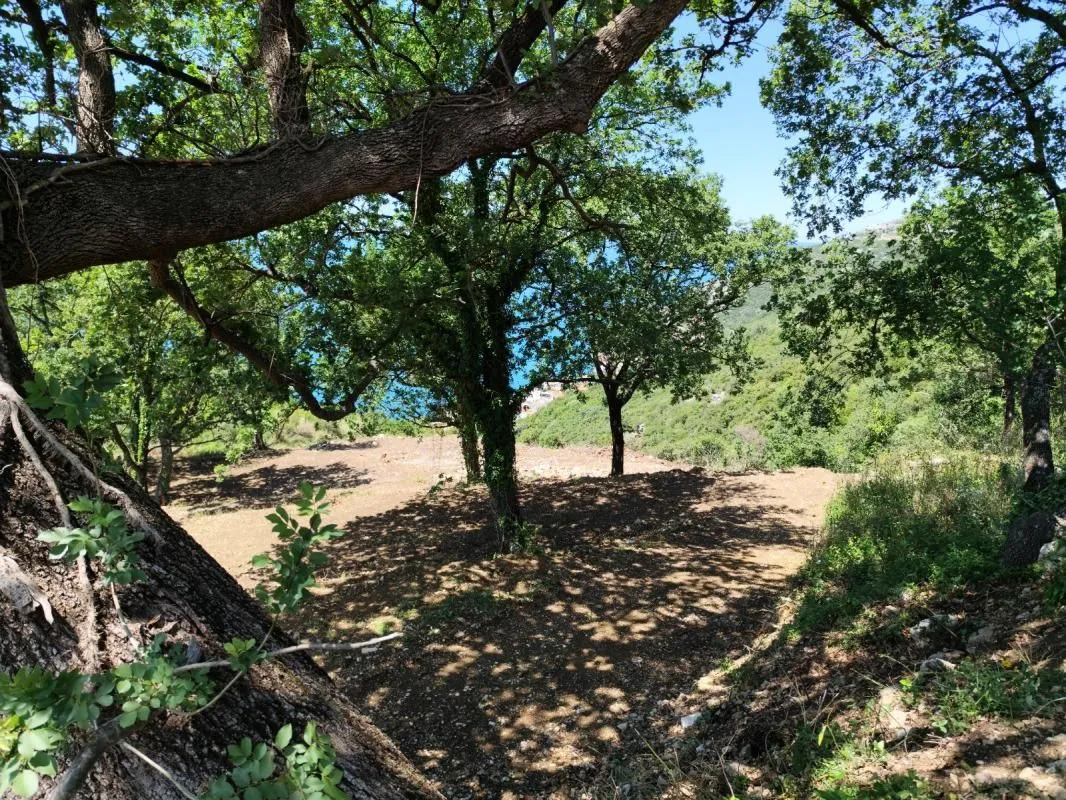 Prodaja, plac, 708m², Dobra Voda, Bar